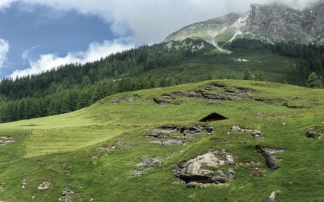 Berge, Wald, Die Natur, Landschaft