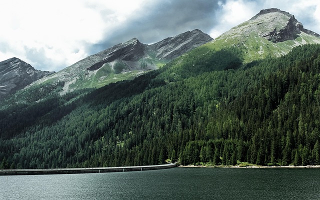 Berge, See, Bäume, Koniferen, Üppig