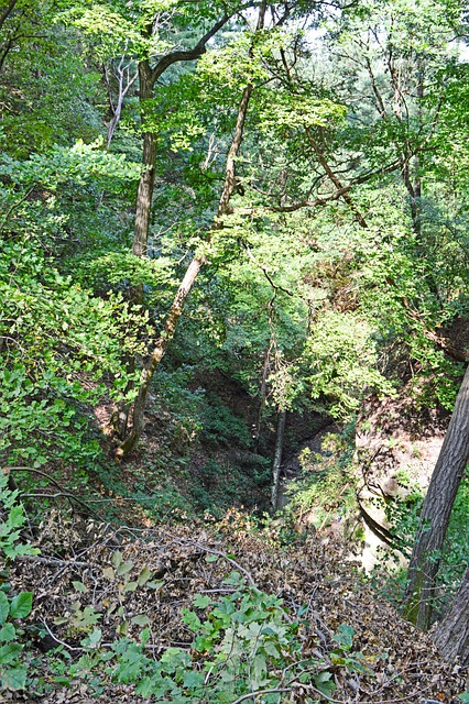 Free Starved Rock State Park photo and picture