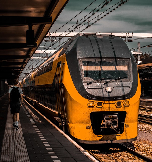 Zug, Junge, Pendeln, Bahnhof, Plattform