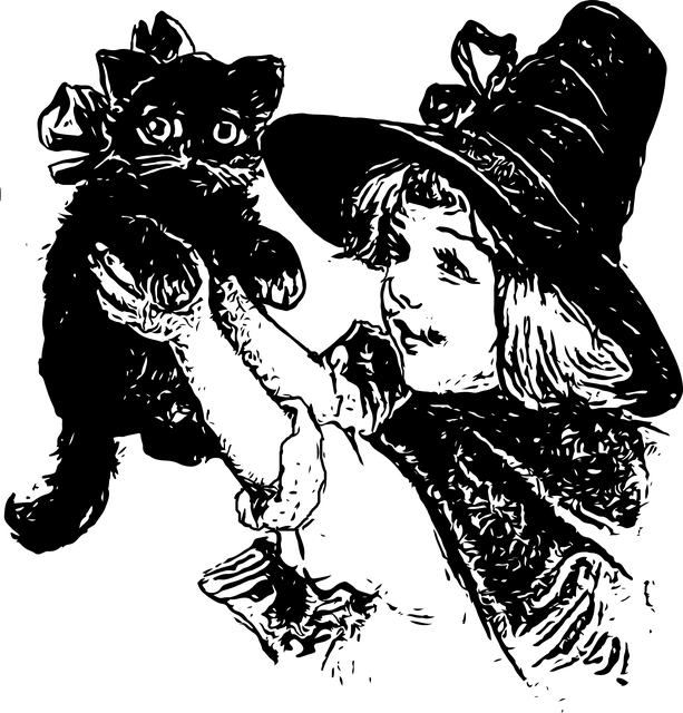 Heks, Cat, Dyr, Kjæledyr, Hatt
