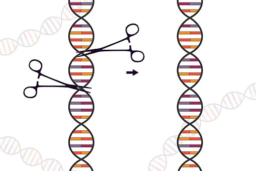 Free Crispr Genetic illustration and picture