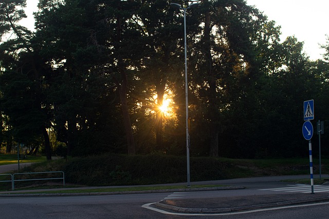 Sol, Luz, Árbol, Víspera, Oscuridad