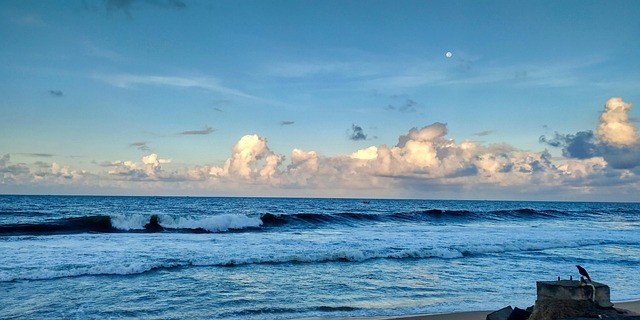 海 大洋洲 波浪 - Pixabay上的免费照片