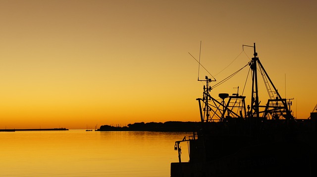 Free Port Ship photo and picture