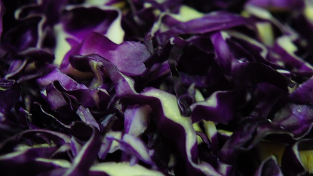 Free Cabbage Ingredient photo and picture