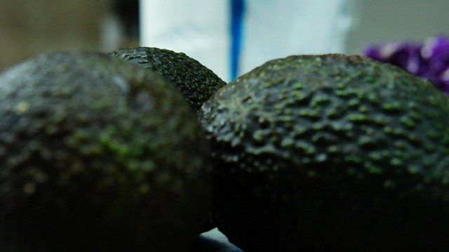 Free Avocado Ingredient photo and picture
