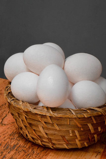 Free Eat Eggs photo and picture