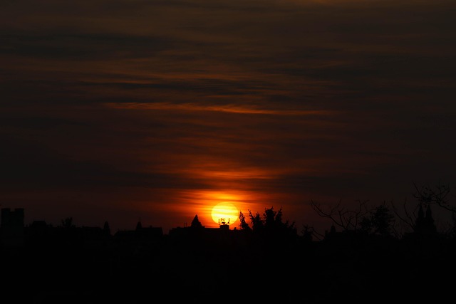 Free Morning Sun photo and picture
