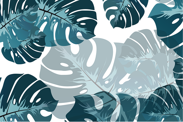 Free leaves monstera background illustration
