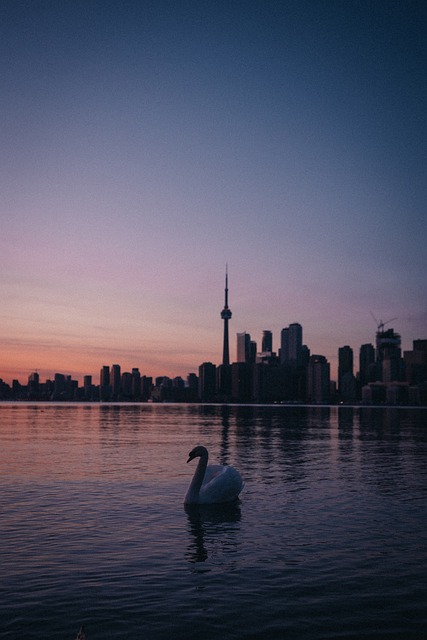 Free Lake Lake View photo and picture