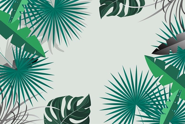 Download free HD stock image of Leaves Nature Free leaves nature border illustration