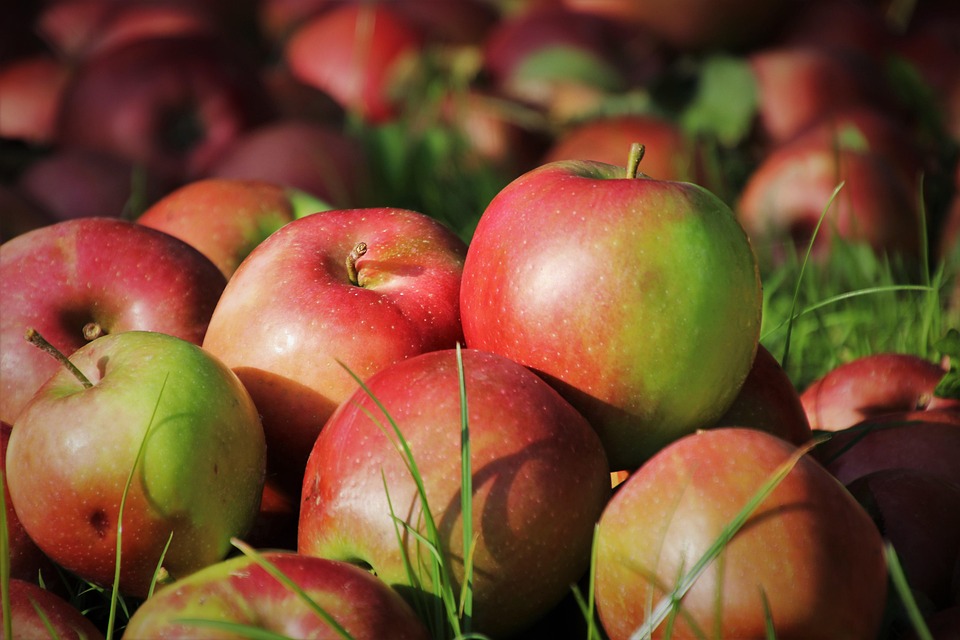 Apple Vision Pro: Unveiling a 16-Year-Old Patent and Its Journey to Reality - News Directory 3