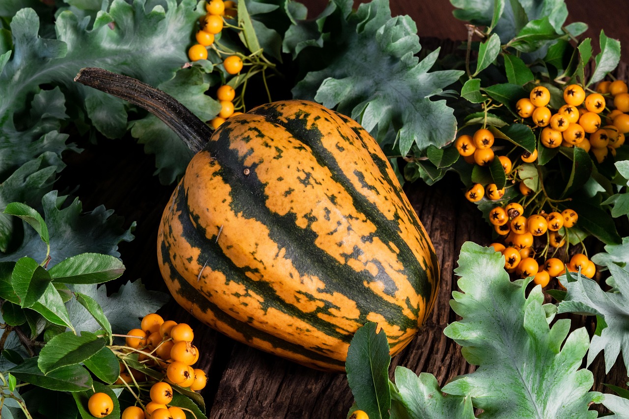 Pumpkin - free online jigsaw puzzle photo