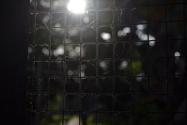 Free Window Web photo and picture