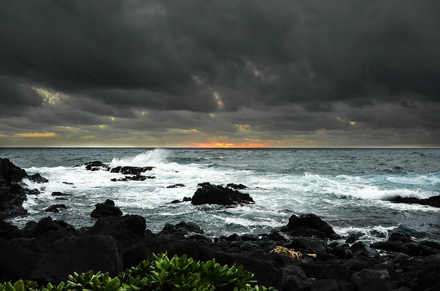 Free Sea Coast photo and picture