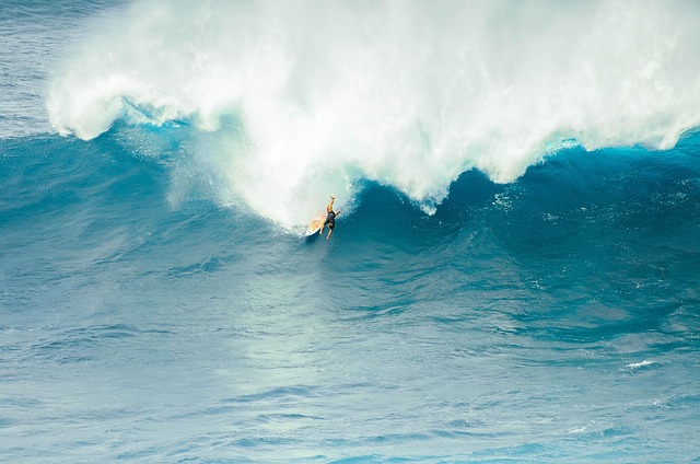 Free Surfing Sea photo and picture