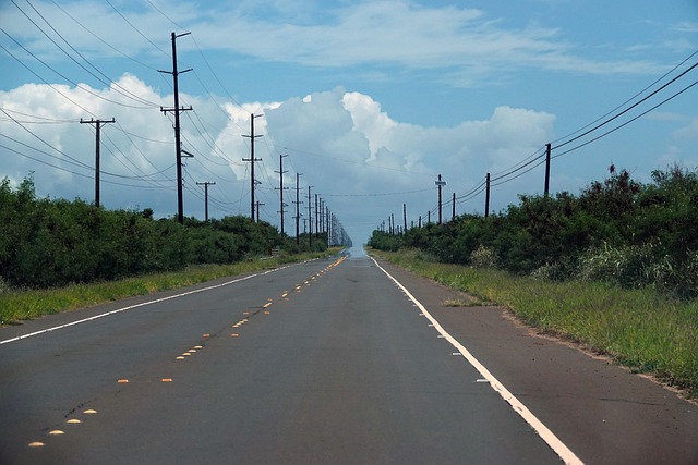 Free Hawaii Road photo and picture