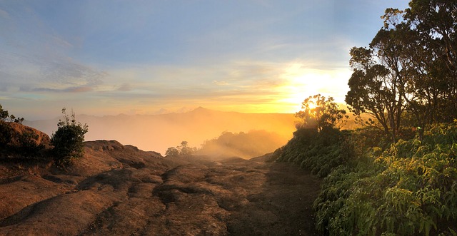 Free Hawaii Kauai photo and picture