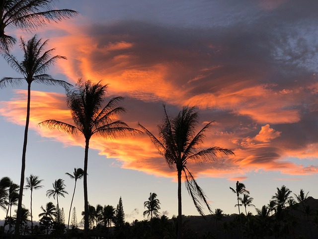 Free Heaven Hawaii photo and picture