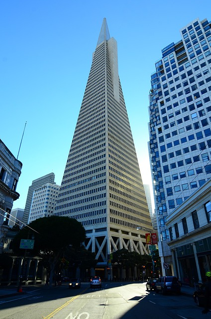 Free Transamerica Pyramid Building photo and picture