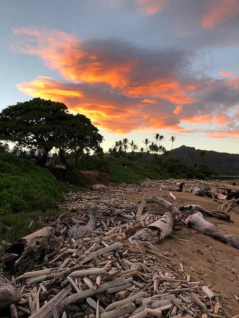 Free Heaven Hawaii photo and picture