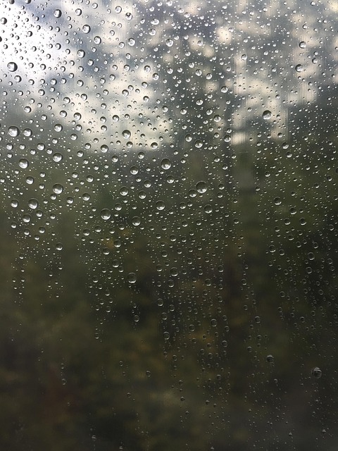 Free Drops Misty photo and picture
