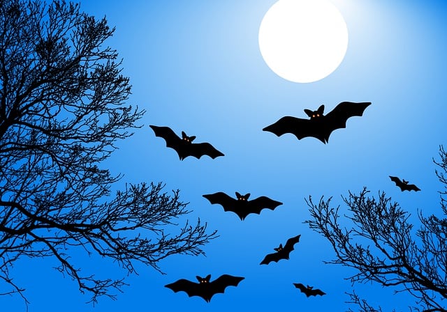 Free bats moon halloween illustration