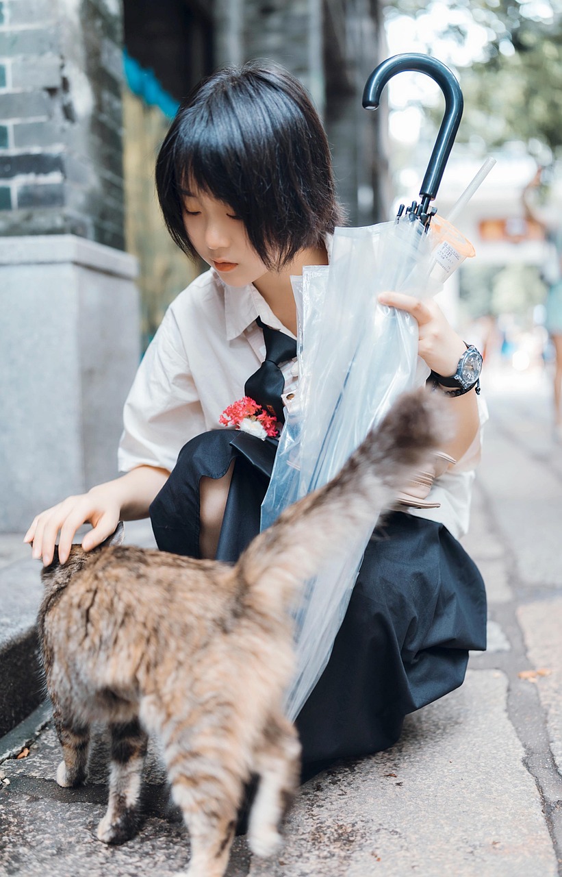 Girl Cat Pet Free photo on Pixabay Pixabay