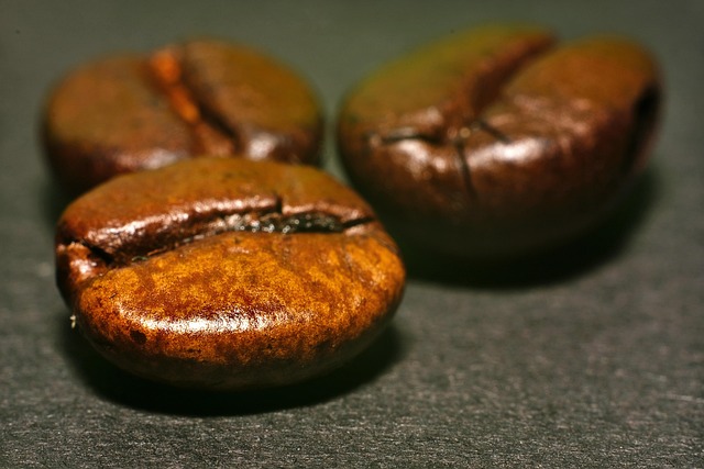 Free Coffee Beans photo and picture