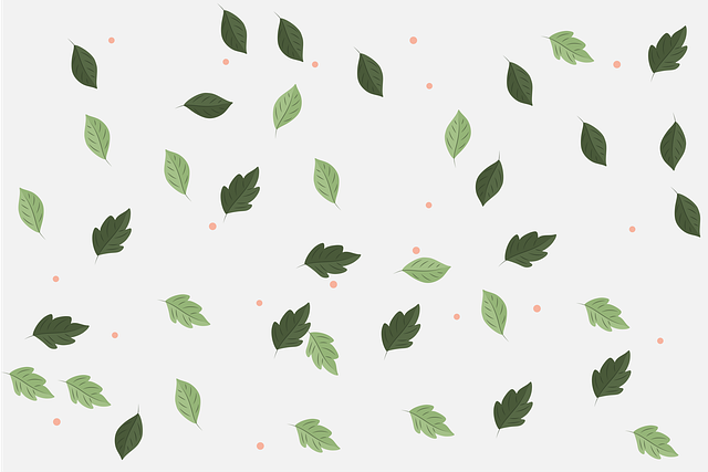 Download free HD stock image of Leaves Foliage Free leaves foliage background illustration