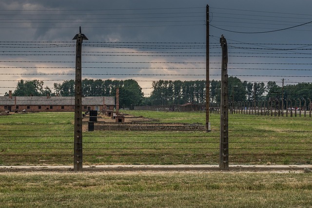 Free Auschwitz Birkenau photo and picture