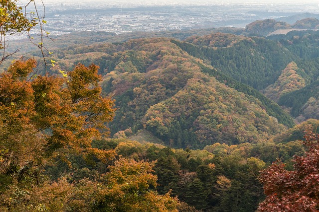 Free Autumn Japan photo and picture