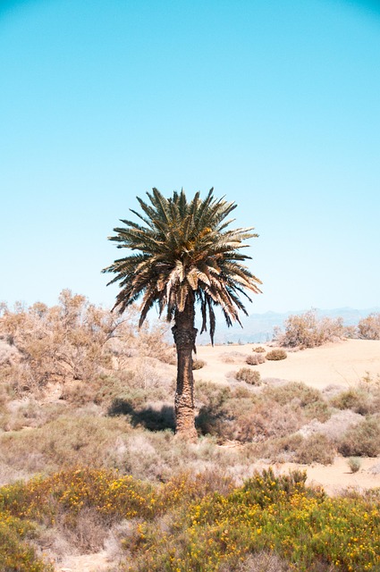 Azul, Islas Canarias, Dunas