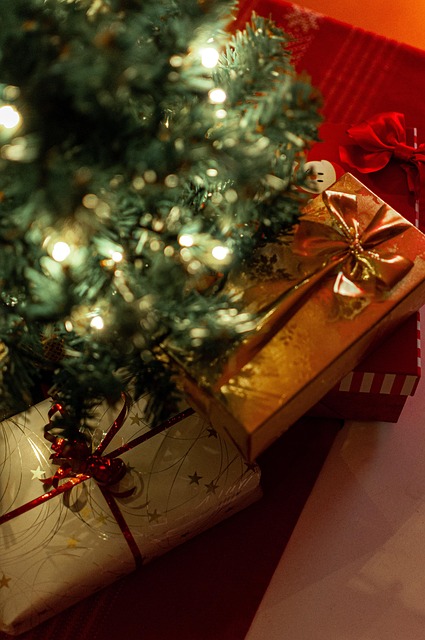 Caja, Navidad, Luces De Hadas, Abeto