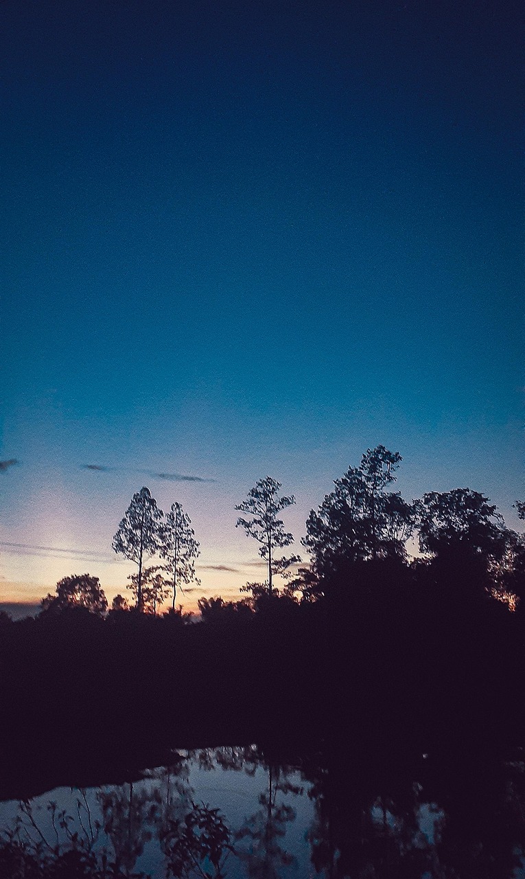 日落 天空 晚上 - Pixabay上的免费照片 - Pixabay