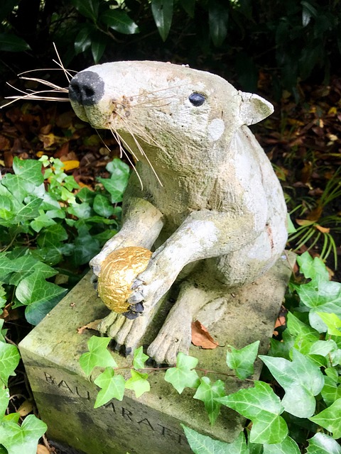 Free Rat Tree Rat photo and picture