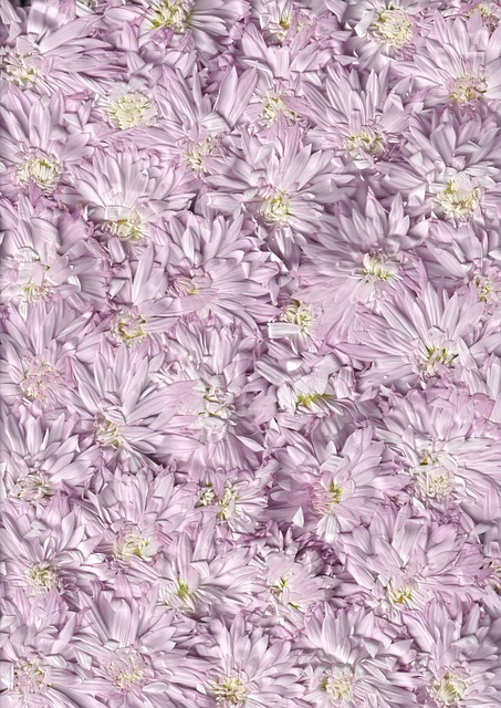 Flor, Textil, Repetir