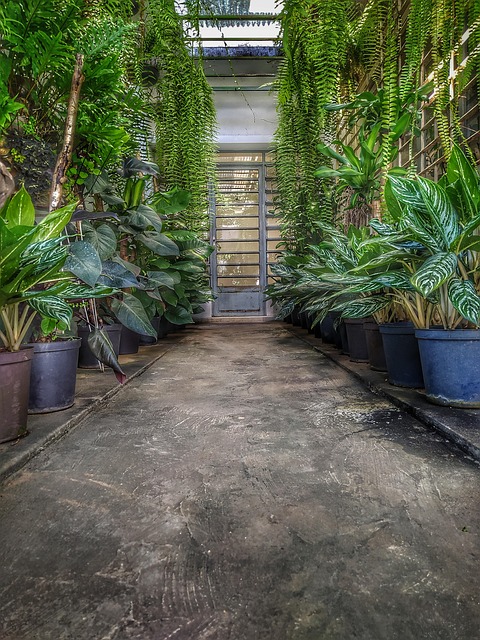 Free Nature Floors photo and picture