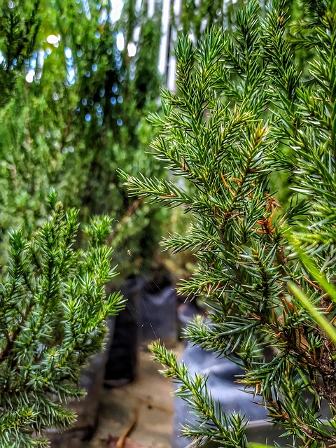 Free Nature Floors photo and picture