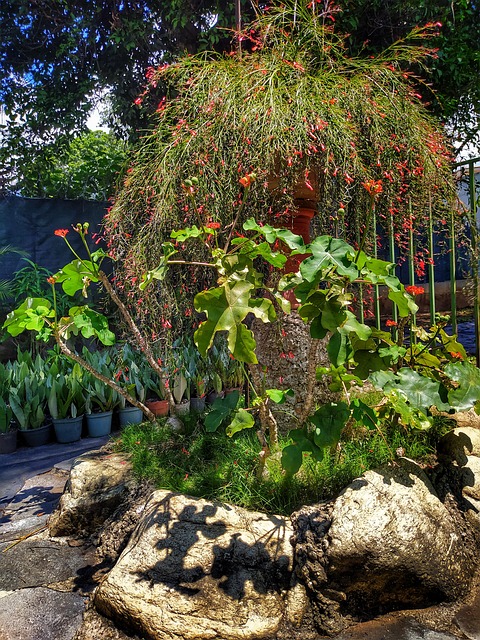 Free Nature Floors photo and picture