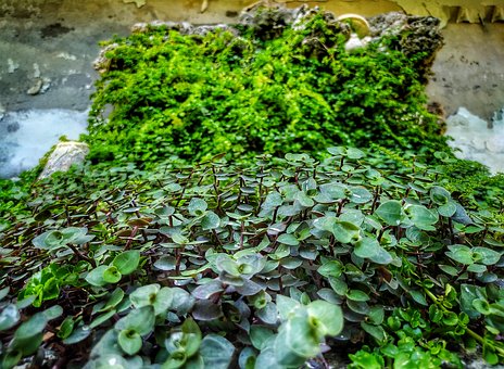 Free Nature Floors photo and picture