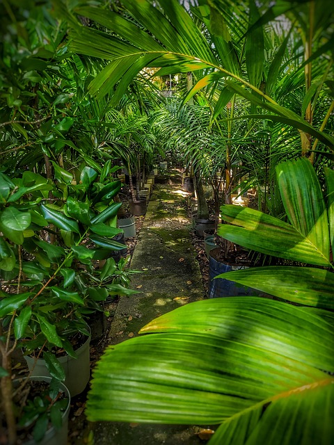Free Nature Floors photo and picture