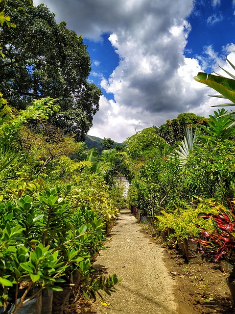 Free Nature Floors photo and picture