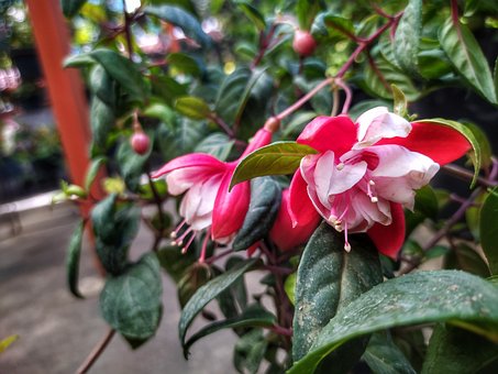 Free Nature Floors photo and picture