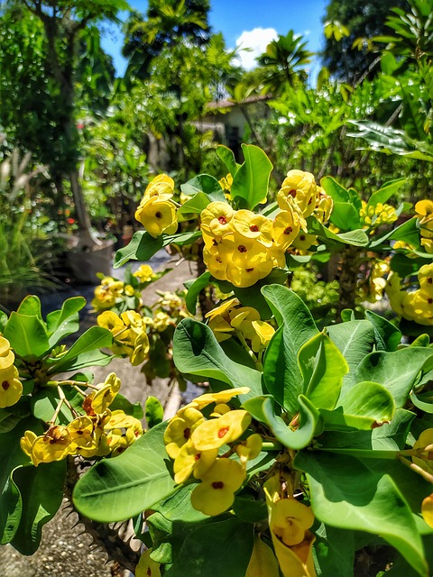 Free Nature Floors photo and picture