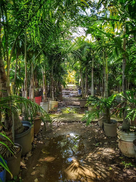 Free Nature Floors photo and picture