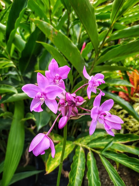 Free Nature Floors photo and picture