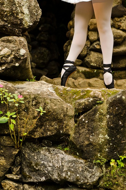 Free Ballet Dance photo and picture