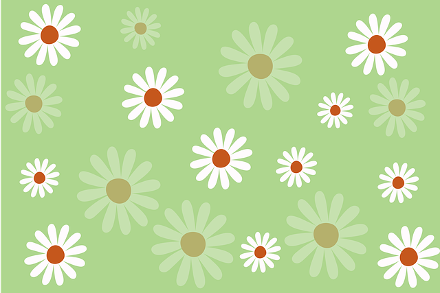 Margaridas, Floral, Fundo, Projeto